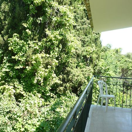 Karina Hotel Benícesz Kültér fotó